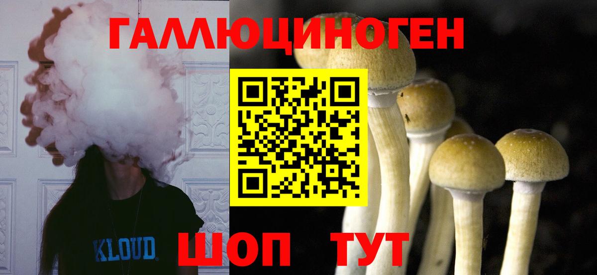 Тимашёвск  Псилоцибиновые грибы Psilocybine cubensis  Вход с VPN 